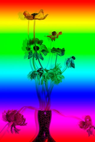 Series of two manipulated photographic prints