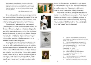 Tropical Malady curatorial project proposal for Alex Urso solo exhibition at Miejsce Projektów Zachęty