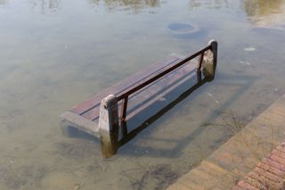 Photos From a Pandemic Walk (2020) Medium: Photographic print on archival paper.