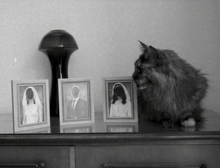 Still from Hands [Dłonie] (2022).